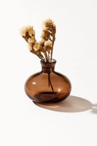 ואזה לילי חום